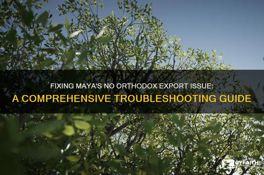 how to fix no orthodox export problem in maya