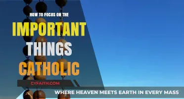 Focusing on the Important: A Catholic Guide