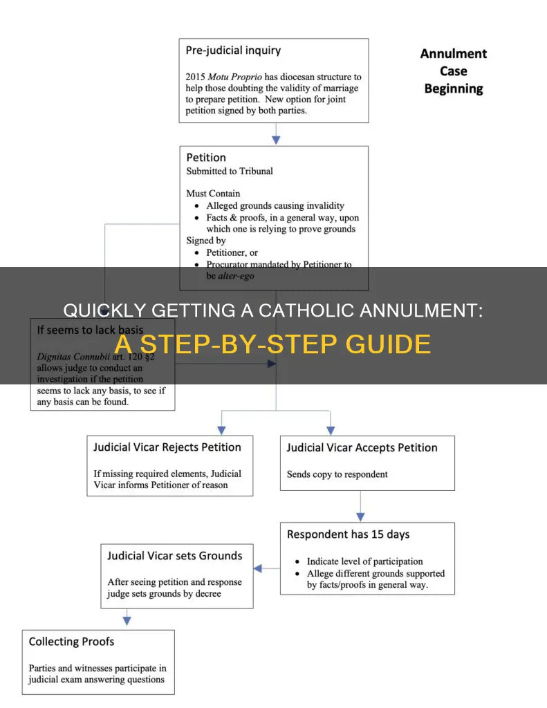 how to get a catholic annulment fast