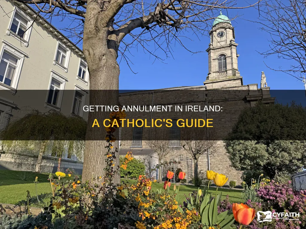 how to get a catholic annulment in ireland
