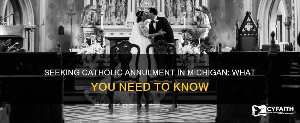 how to get a catholic annulment in michigan