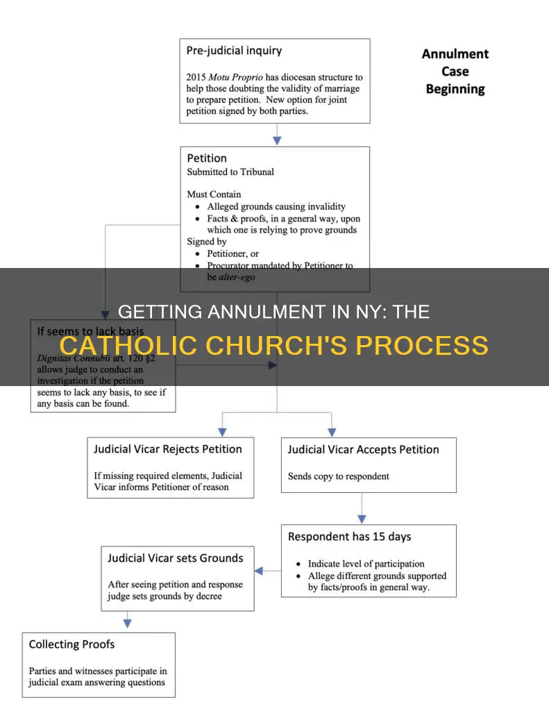 how to get a catholic annulment in ny