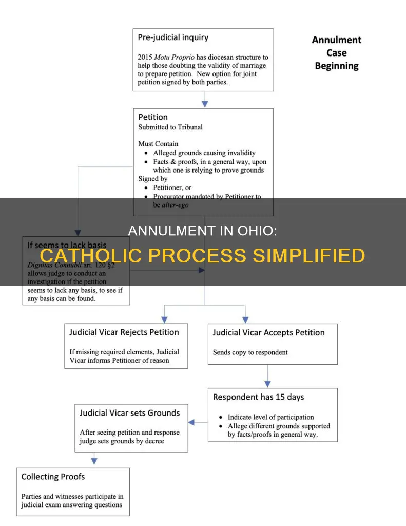 how to get a catholic annulment in ohio