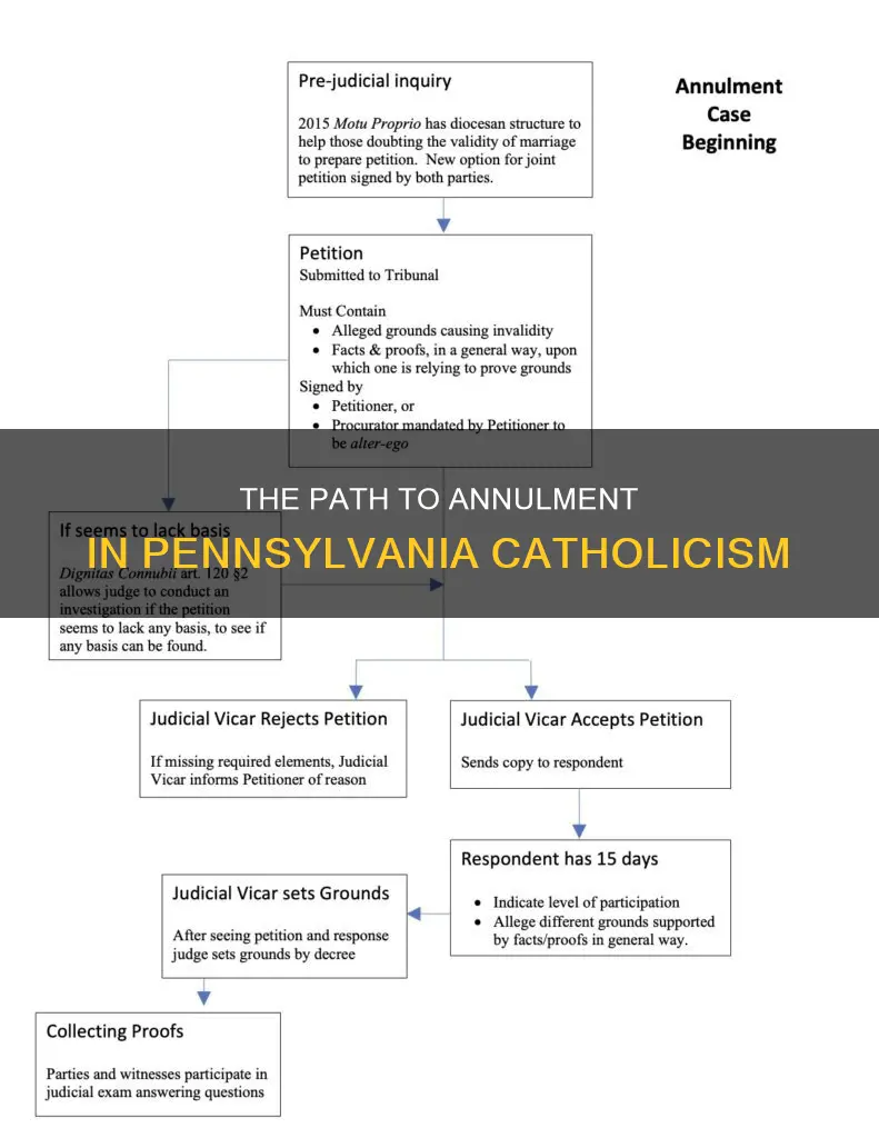 how to get a catholic annulment in pa