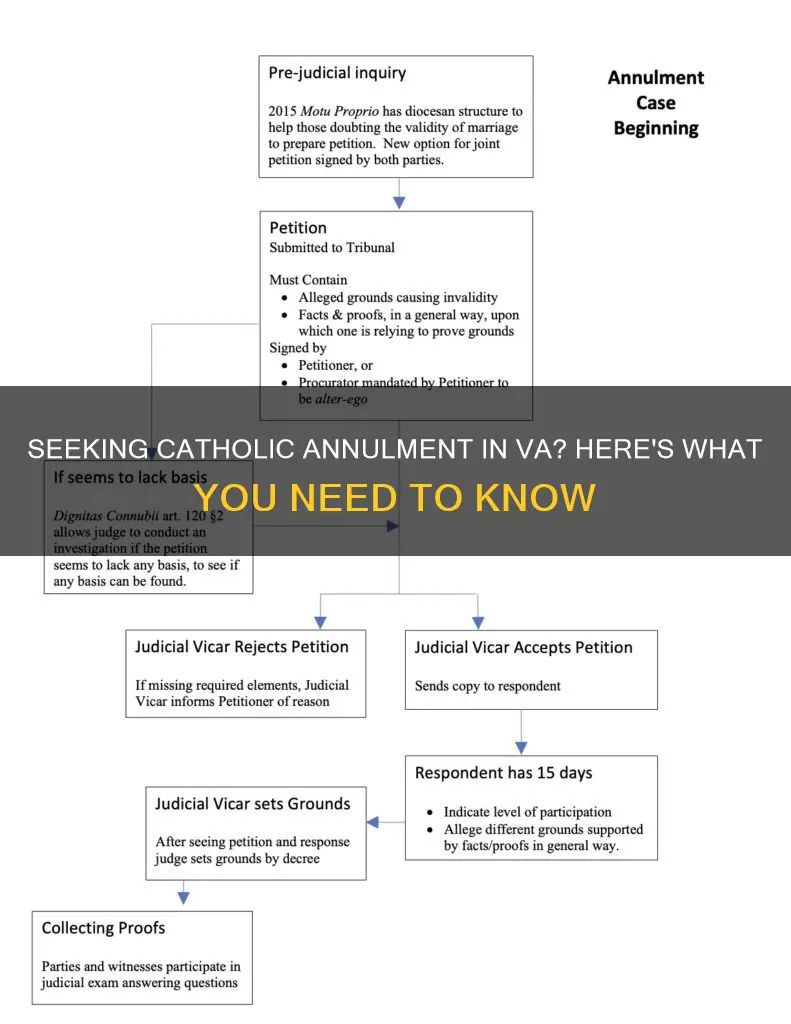 how to get a catholic annulment in va