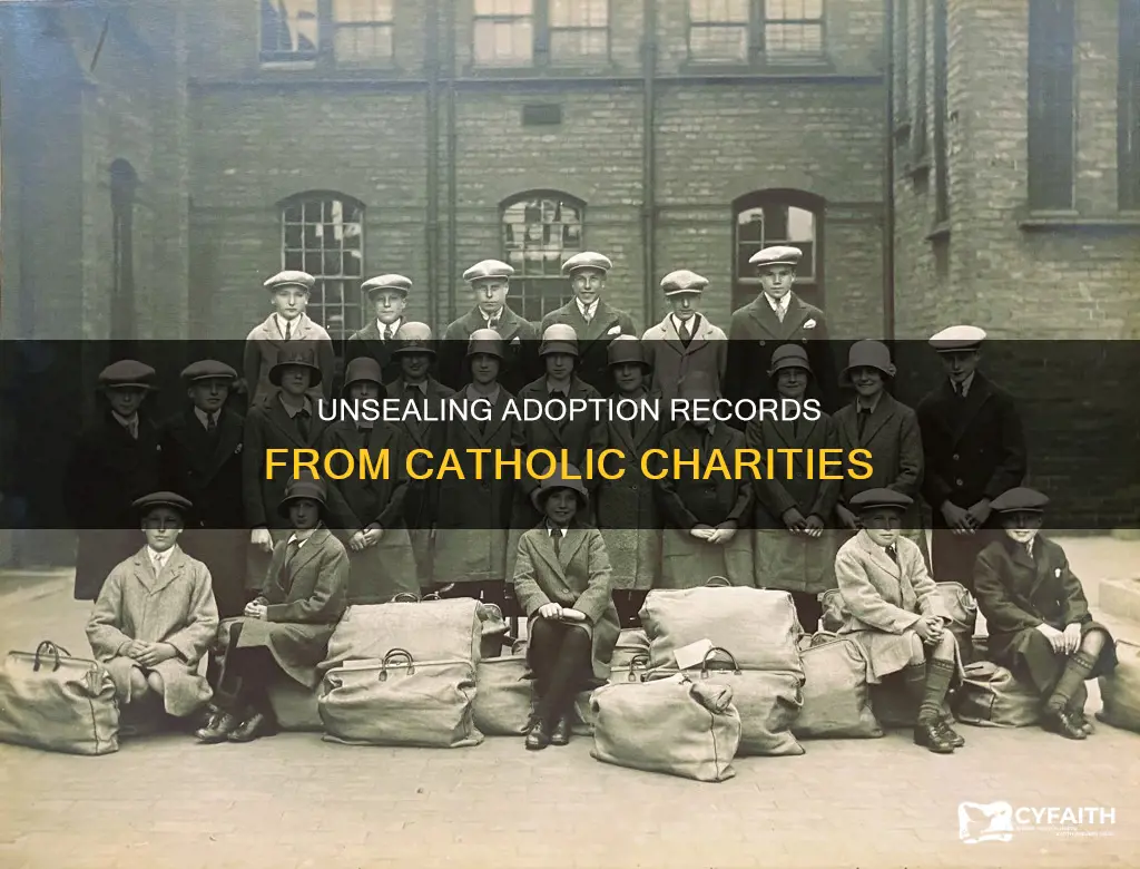 how to get adoption records from catholic charities