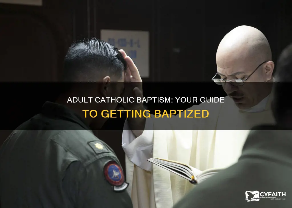 how to get baptised as an adult catholic