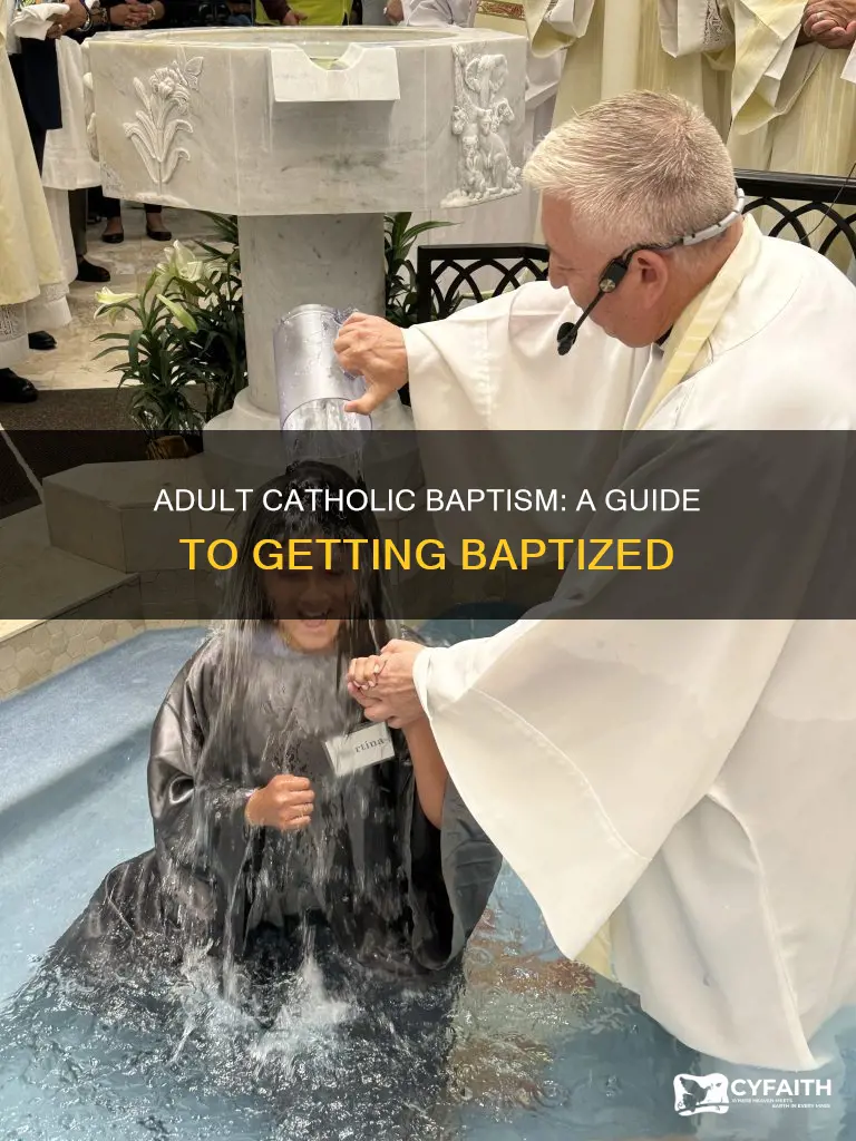 how to get baptized catholic as an adult