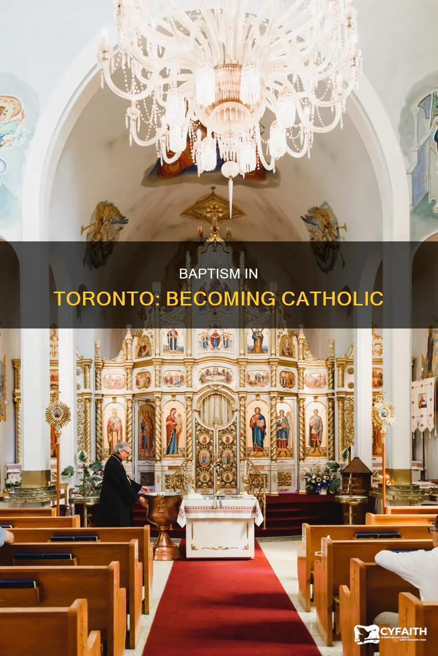 how to get baptized catholic toronto