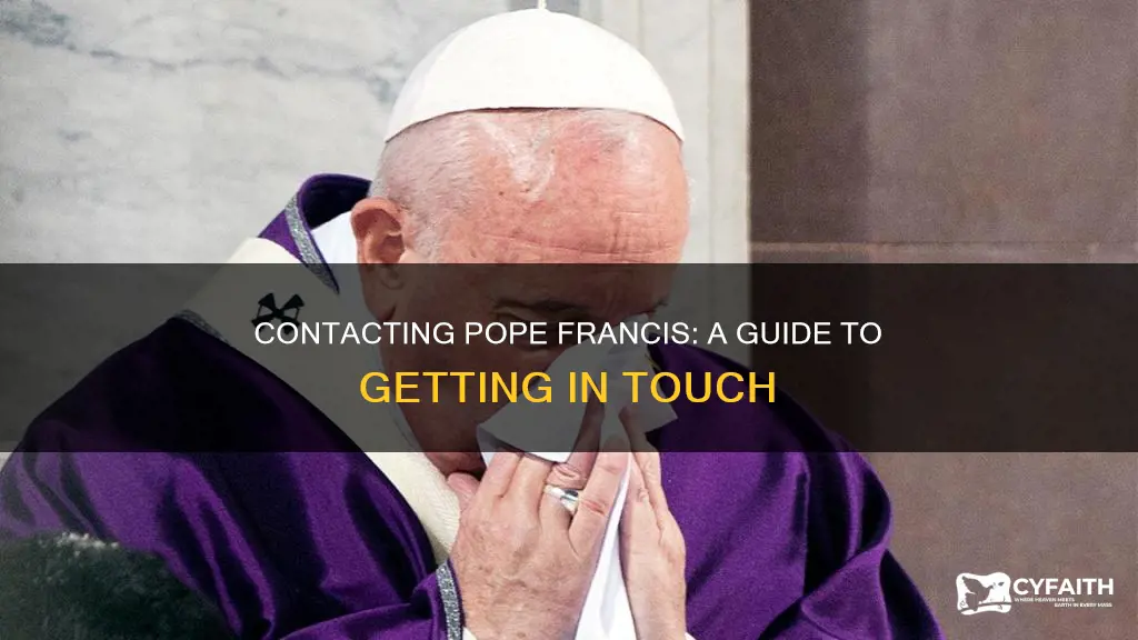 how to get in touch with pope francis