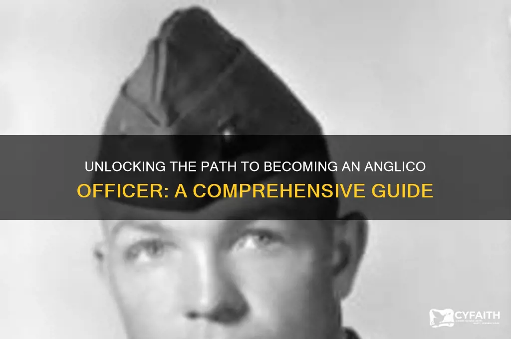 how to get into anglico officer
