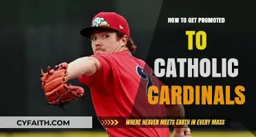 The Path to Cardinal: A Guide to Papal Promotion