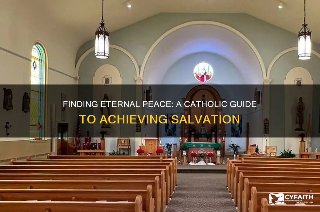 how to get salvation catholic