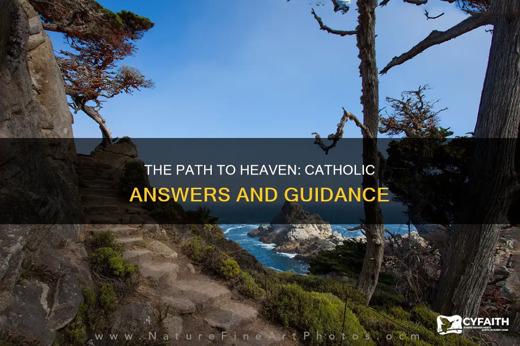how to get to heaven catholic answers