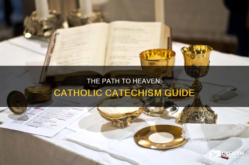 how to get to heaven catholic catechism