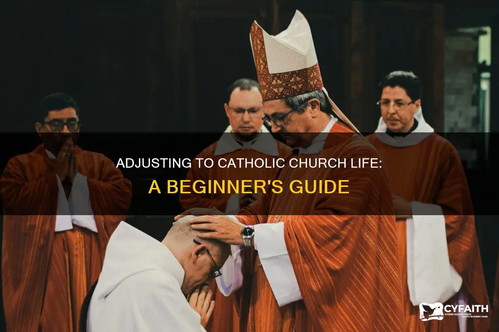 how to get used the the catholic chuch