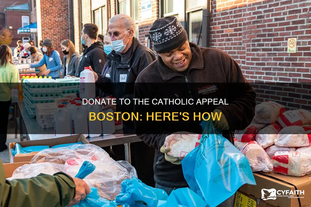 how to give to the catholic appeal boston