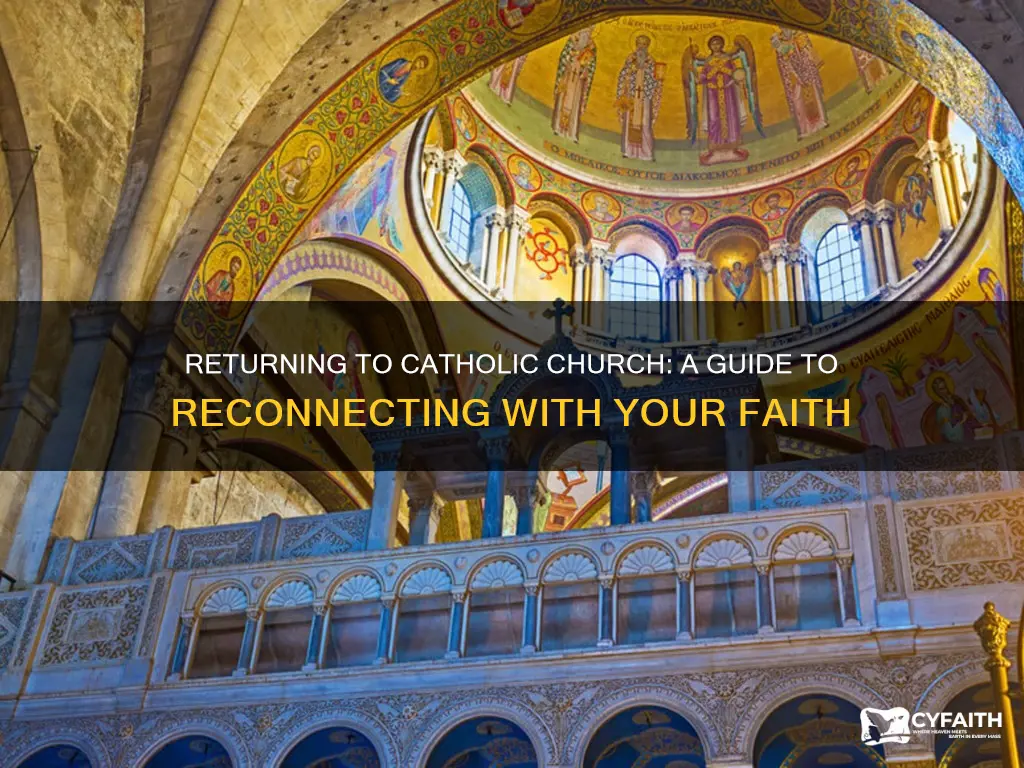 how to go back to catholic churxh