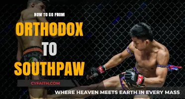 Switching Stances: Mastering the Transition from Orthodox to Southpaw