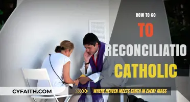 Returning to Catholic Faith: Steps to Reconciliation
