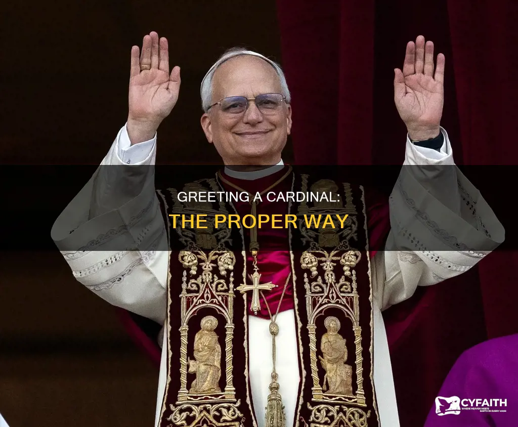 how to greet a catholic cardinal