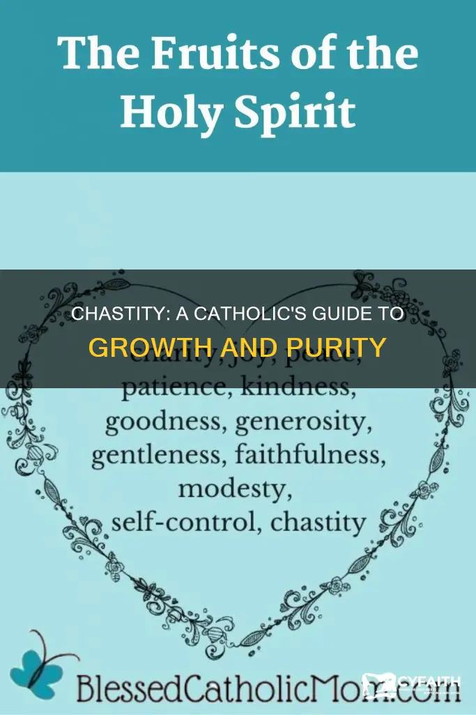 how to grow in chastity catholic