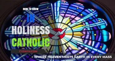 Pursuing Holiness: A Catholic's Guide to Spiritual Growth