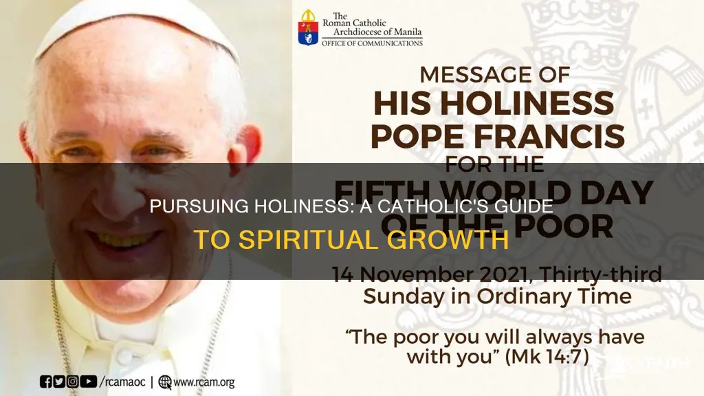 how to grow in holiness catholic
