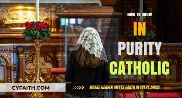 Purity and Growth: A Catholic's Guide