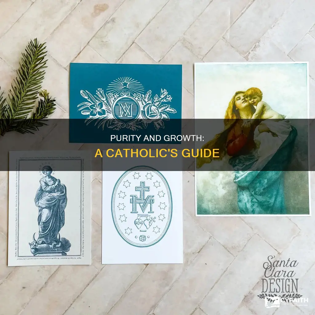 how to grow in purity catholic