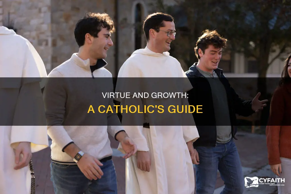 how to grow in virtue catholic