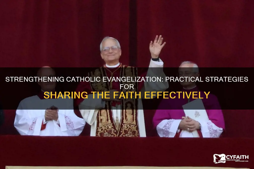 how to help catholic evangelization