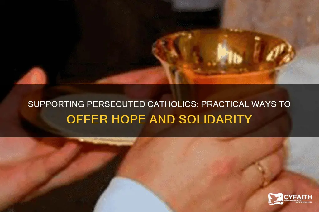 how to help persecuted catholics