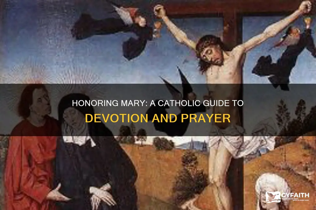 how to honr mary catholic