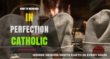 The Path to Catholic Perfection: A Guide to Spiritual Growth
