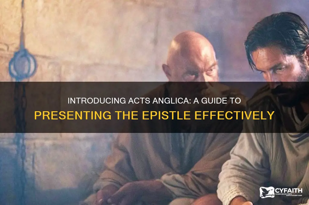 how to introduce the epistle if it is acts anglica