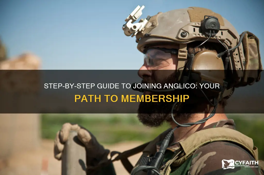 how to join anglico