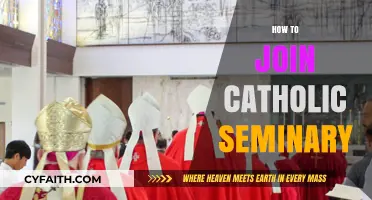 Steps to Discern and Enter Catholic Seminary Life