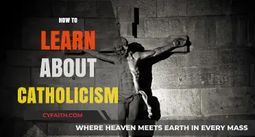 Exploring Catholicism: A Beginner's Guide to Faith and Tradition