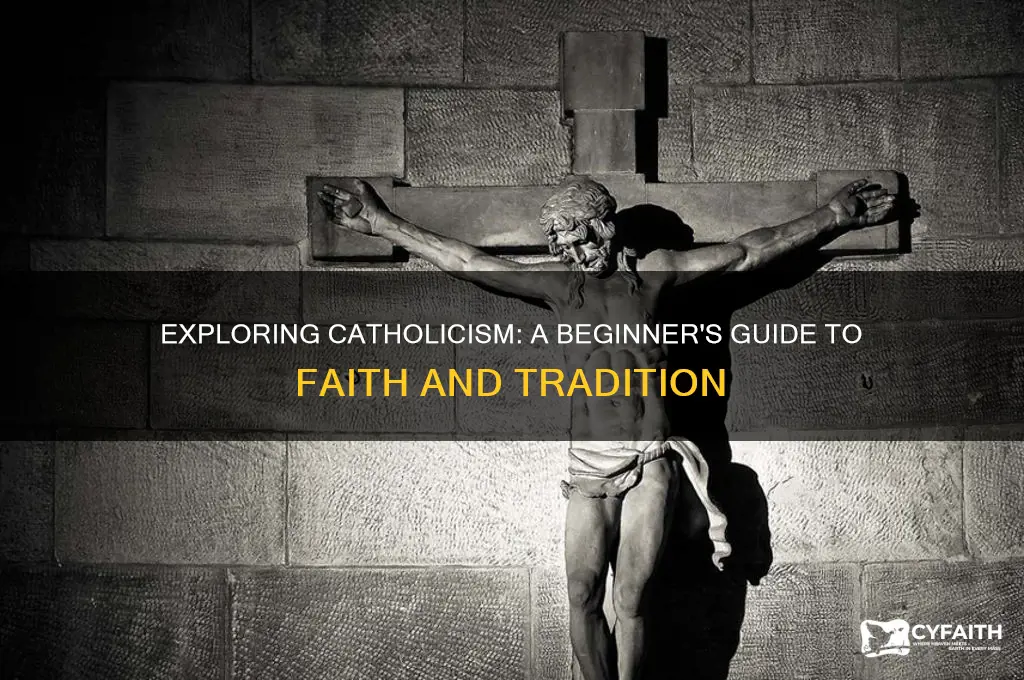 how to learn about catholicism