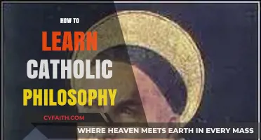Exploring Catholic Philosophy: A Beginner's Guide to Timeless Wisdom