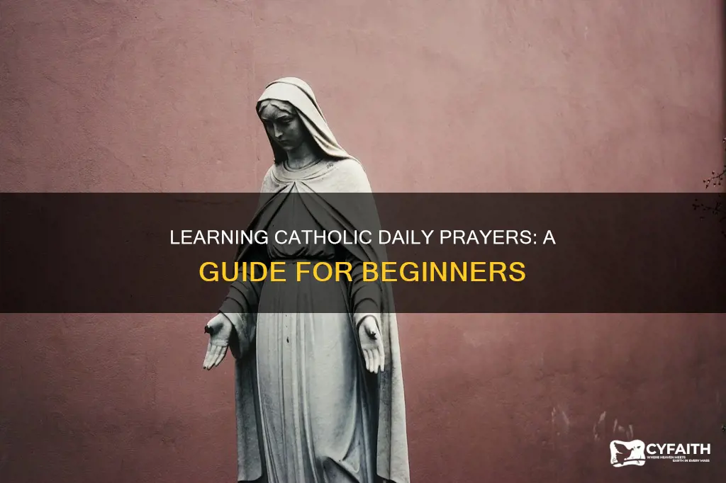 how to learn the daily prayers of catholics