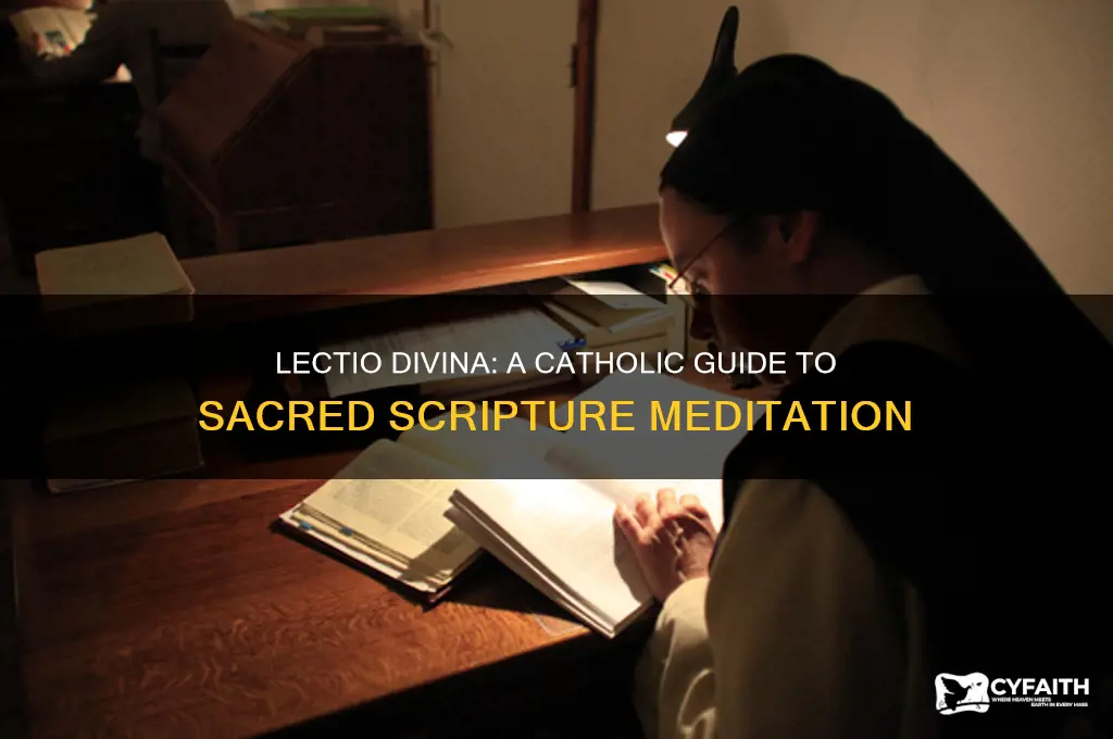 how to lectio divina catholic