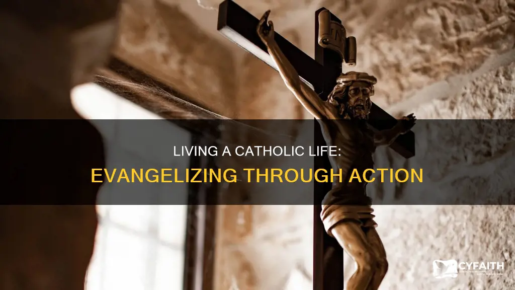 how to live a catholic life evanglizatiopn
