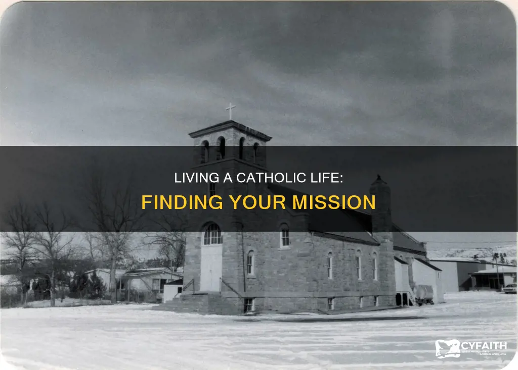 how to live a life of mission catholic