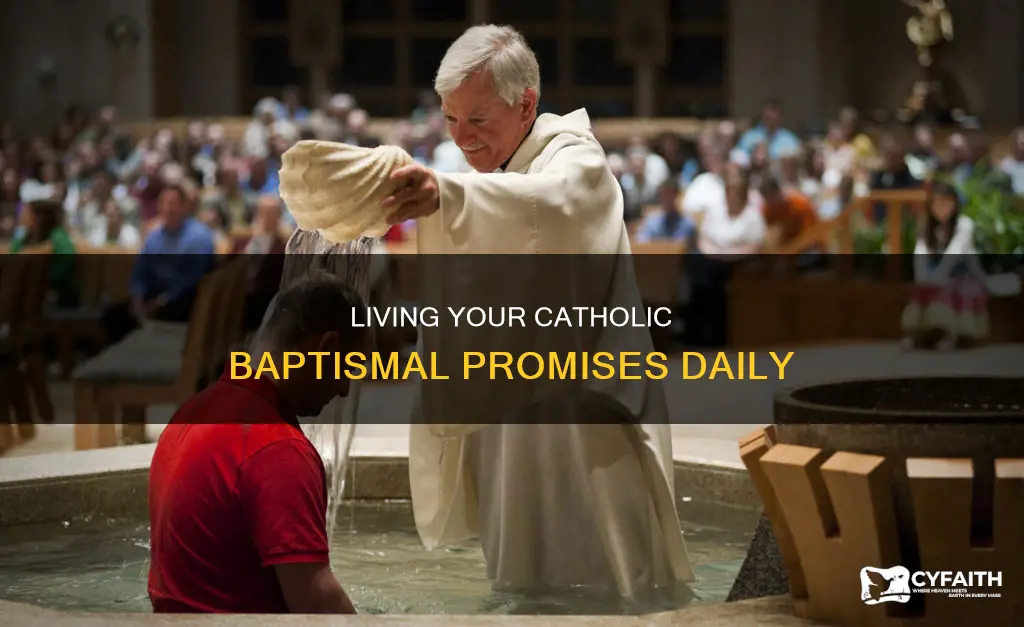 how to live out your baptismal promises catholic