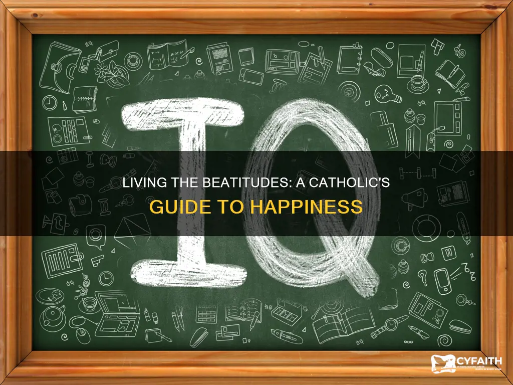 how to live the beatitudes catholic