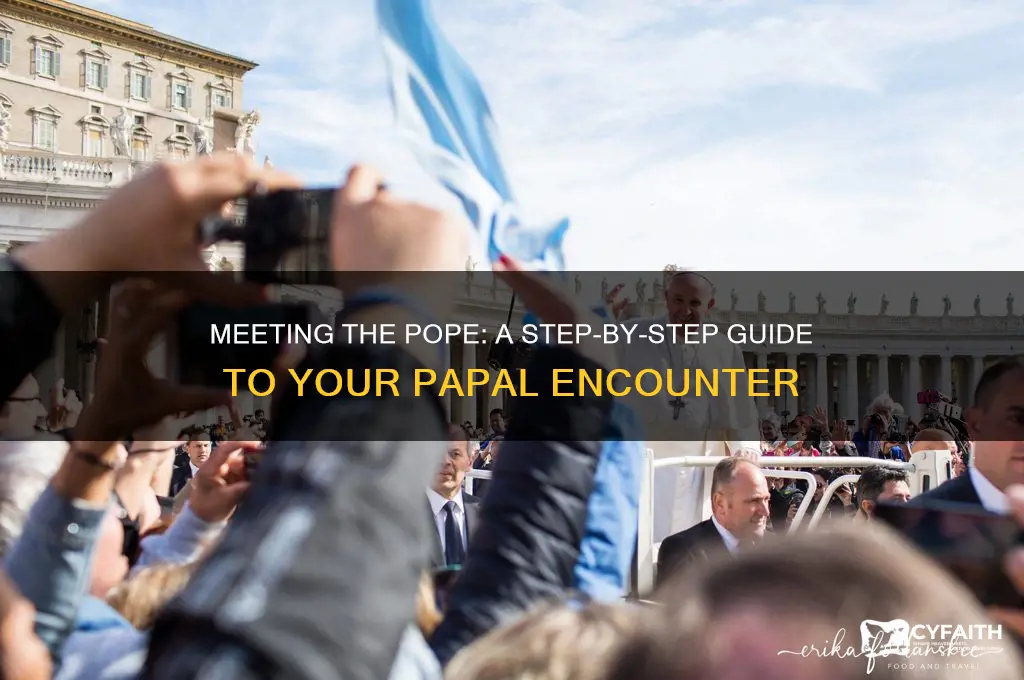 how to meet the pope