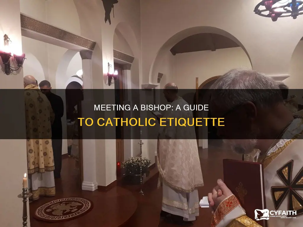 how to meet with a catholic bishop