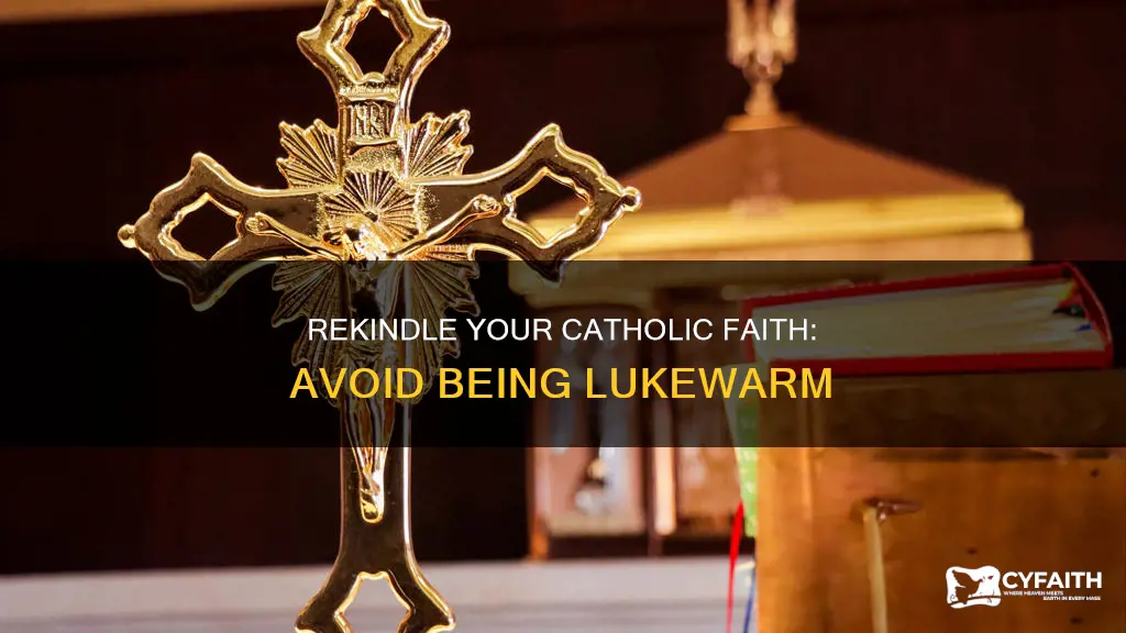 how to not be a lukewarm catholic